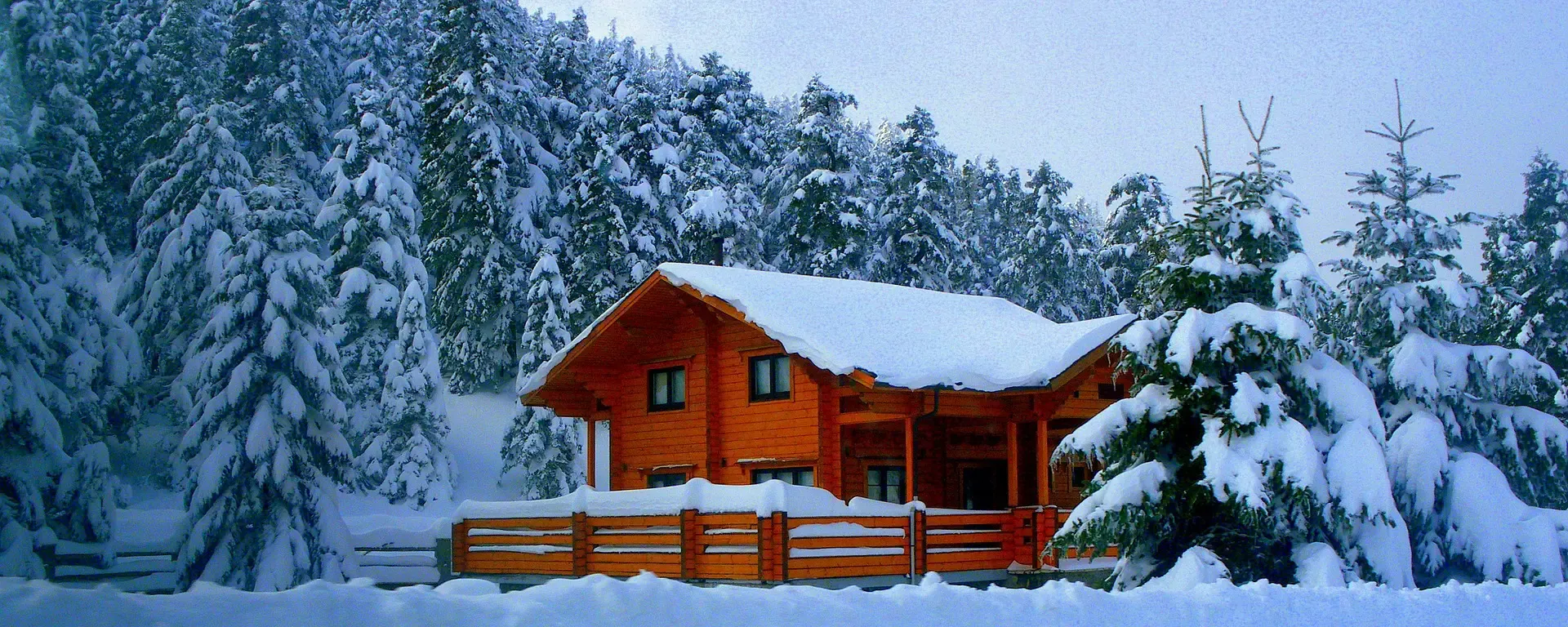 wooden-house-4889427_1920 copy.webp